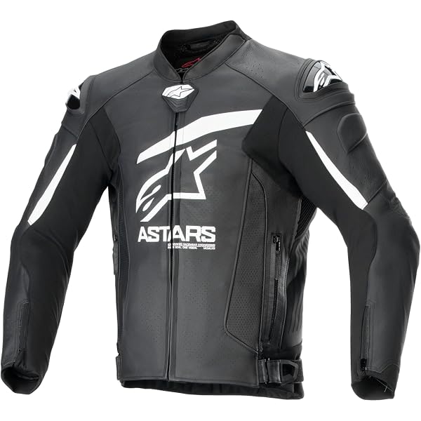 Amazon.com: Alpinestars GP Plus R V4 Rideknit Leather Jacket, Race