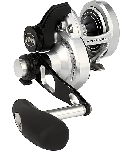 Amazon.com : Fathom II Lever Drag 2 Speed - 25NLD2 CV Reel BX