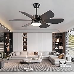 MADSHNE Ceiling Fans with Lights and