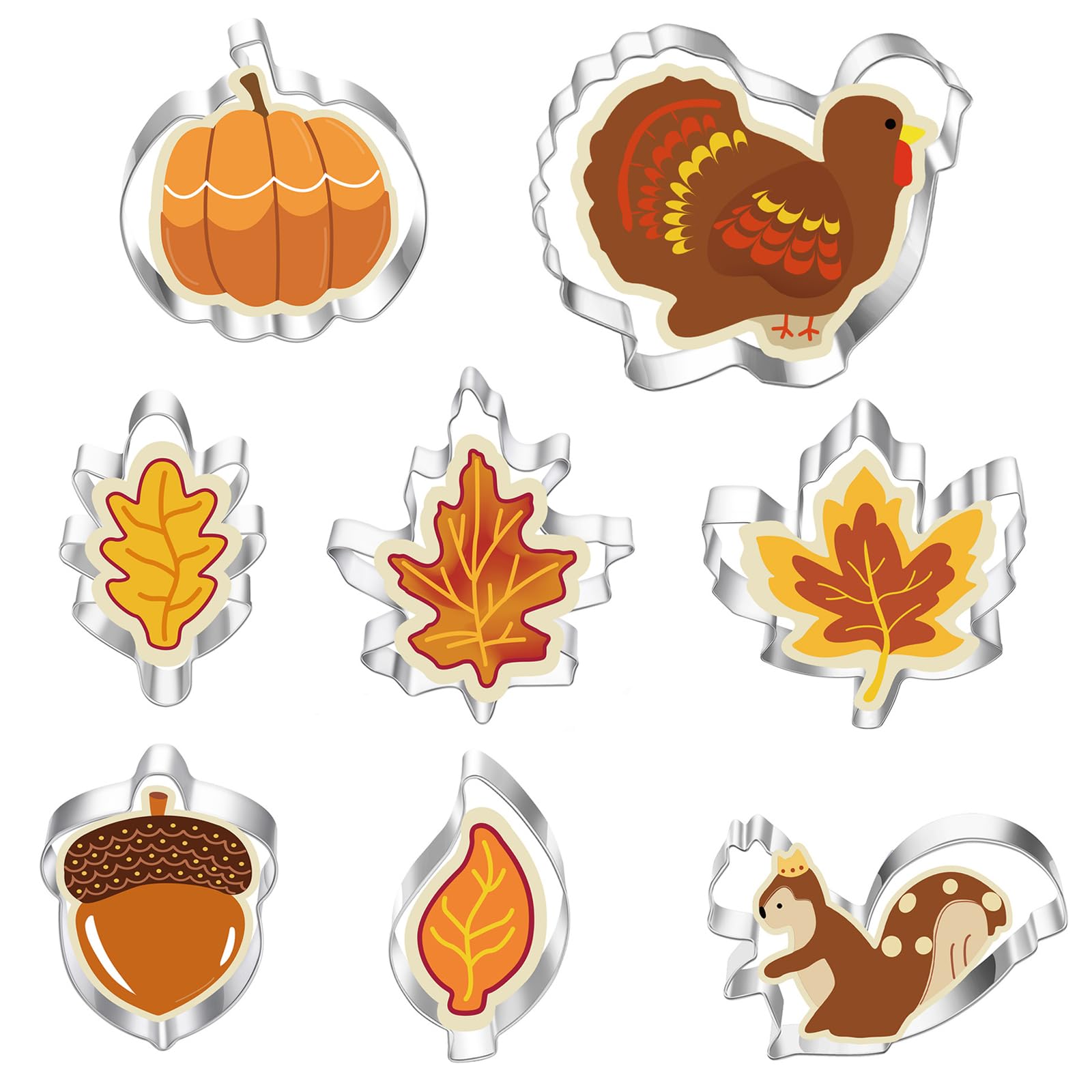 BDSHUNBF 8pcs Autumn Cookie Cutters, Thanksgiving Biscuit Cutter Set, with Maple Leaves Pumpkin Squirrel Acorn Turkey Pattern for Fall Party Baking