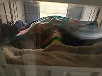 Review Image by Kelly Kelly