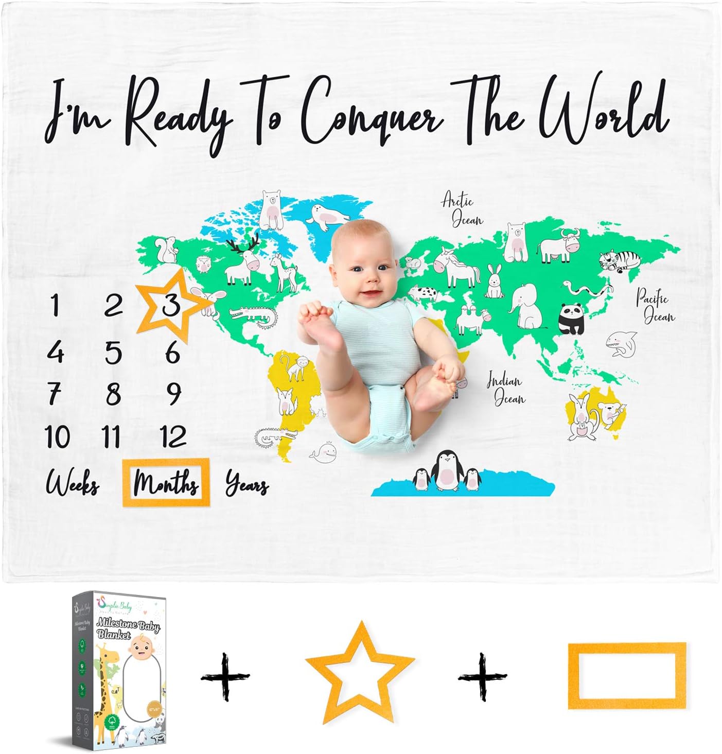 baby boy monthly milestone blanket