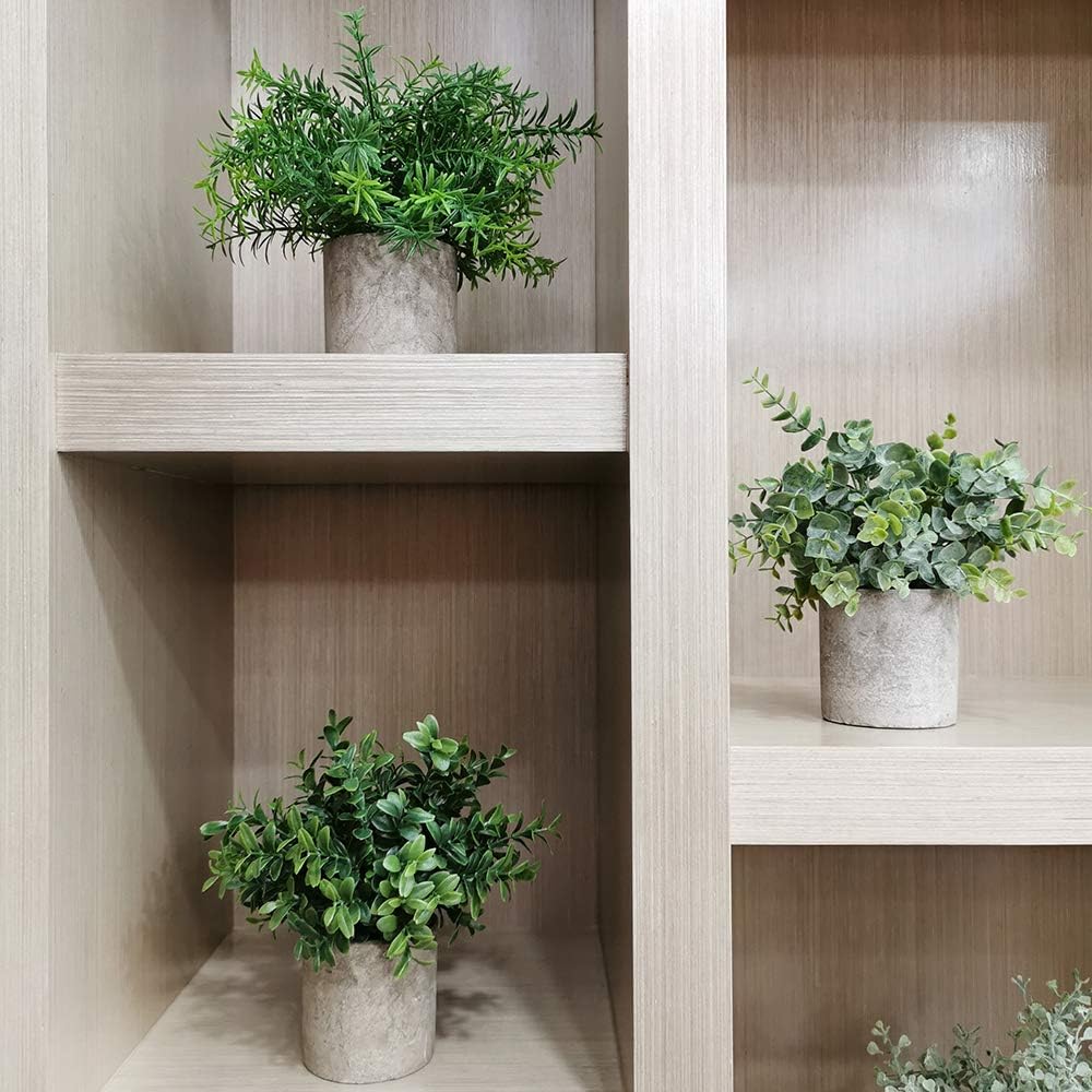 Winlyn Mini Potted Plants Artificial Eucalyptus Boxwood Rosemary Greenery in Pots Faux Potted Herbs Small Houseplants 8.3"-9" Tall for Indoor Greenery Tabletop Décor Centerpiece 3 Pack -