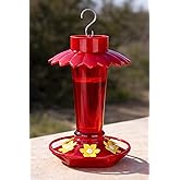 Fchstaer Plastic Hummingbird Feeders for Outdoors Hanging, 10 OZ Red Humming Bird Feeder with 6 Feeding Ports and Perch, Built-in Ant Moat, Gifts for Women Garden Decor, 1 Pack