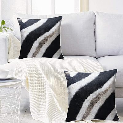 Buy Entua Set Of 2 Striped African Zebra Skin Home Decor Throw Pillow Covers Black And White Faux Fur Animal Decorative Pillow Cases Skin Print Velvet Pillow Case For Sofa 18 Inch