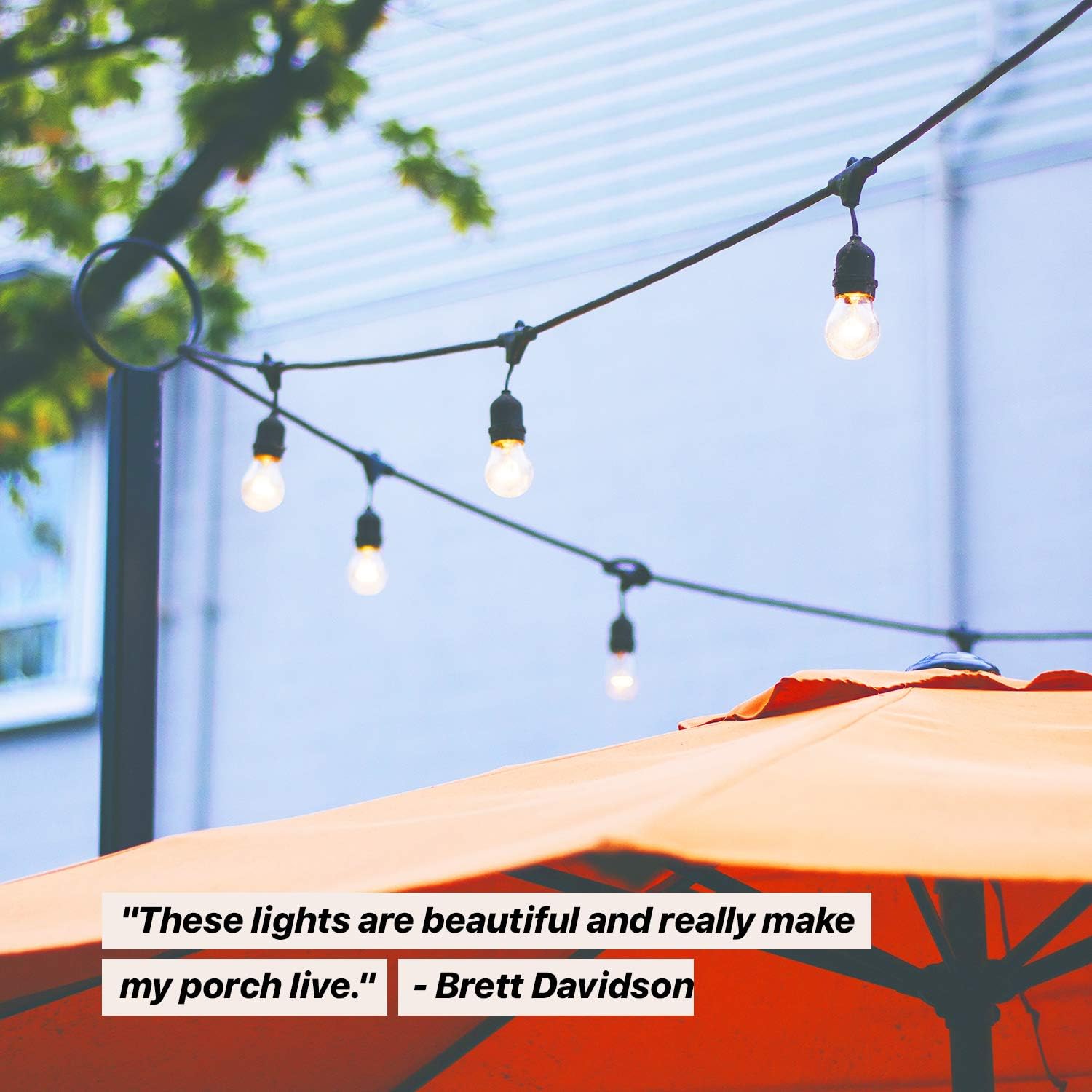 Brightech Ambience Pro - Waterproof LED Outdoor String Lights - Hanging, Dimmable 2W Vintage Edison Bulbs - 48 Ft Commercial Grade Patio Lights Create Cafe Ambience in Your Backyard - Warm White : Garden & Outdoor