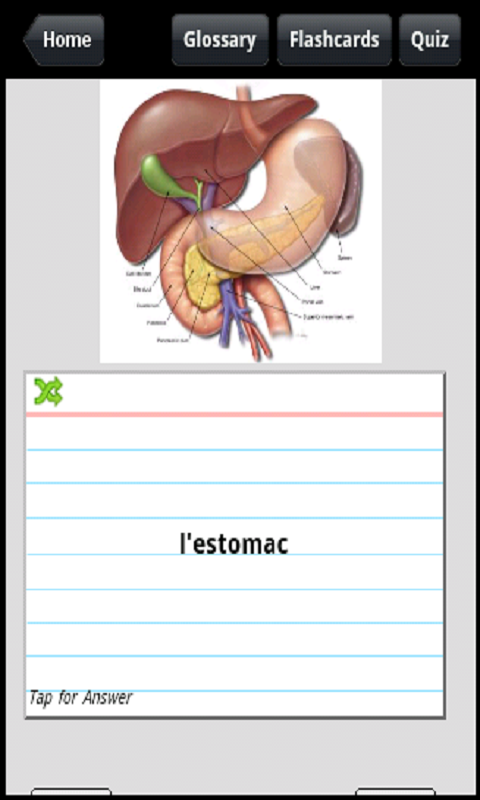 Medical French Assessment Guide for English Speakers - Thumbnail 4