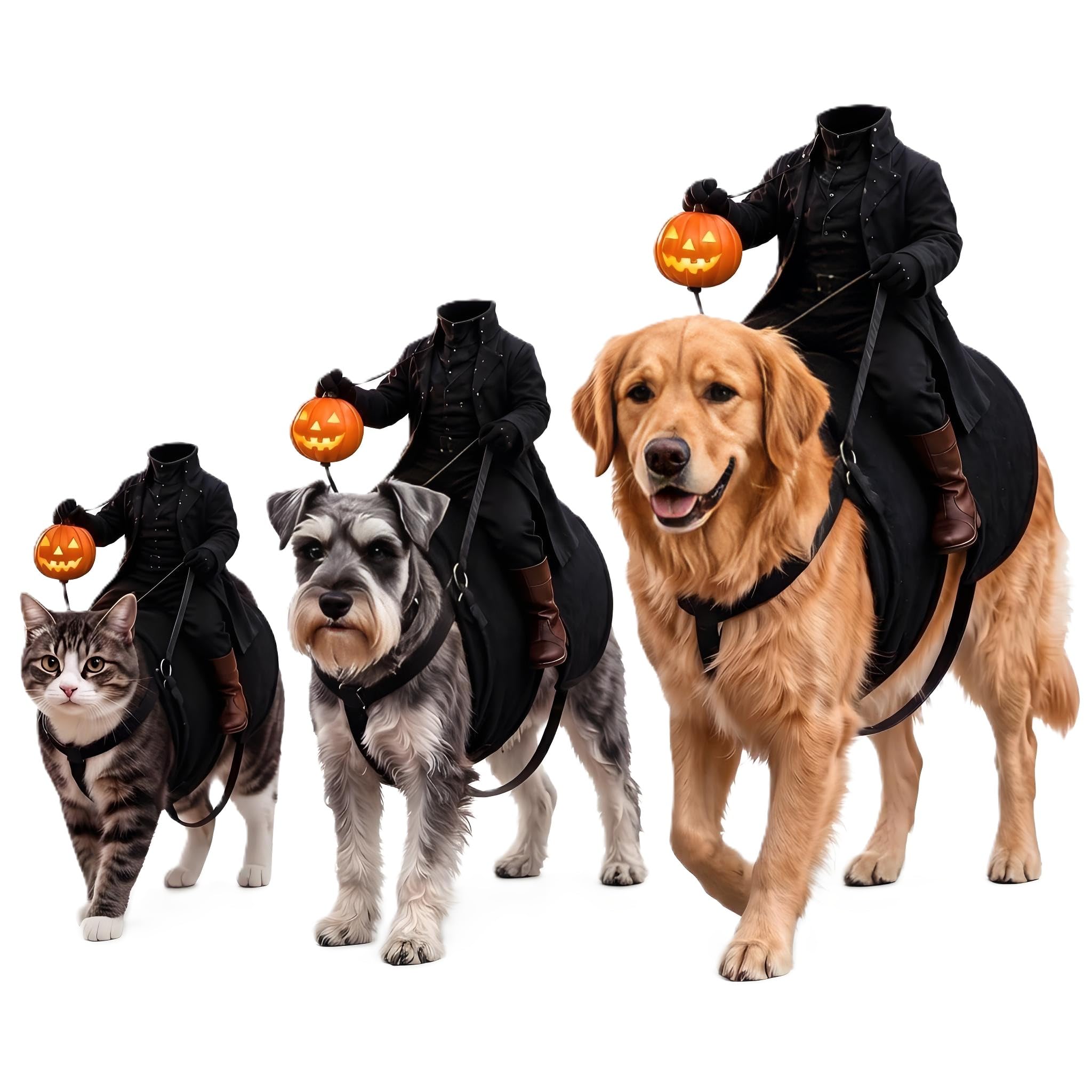 Light Up Headless Horseman Pet Costume for Dogs and Cats | Halloween Pumpkin Rider Costume with Adjustable Harness, Funny Pet
