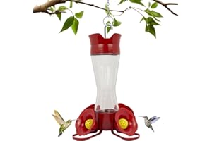 Perky-Pet 203CPBN Outdoor Pinch Waist Glass Garden Décor Hummingbird Feeder