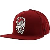 ZHATS NCAA Unisex-Adult NCAA Officially Licensed Adjustable Hat Z11 Vault