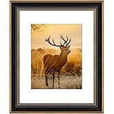 AUEAR,16x20 Picture Frame for 11x14 Photo With Mat or 16x20 Prints Without Mat,Vintage Style,Wall Mounting (Black and Ornate Gold)