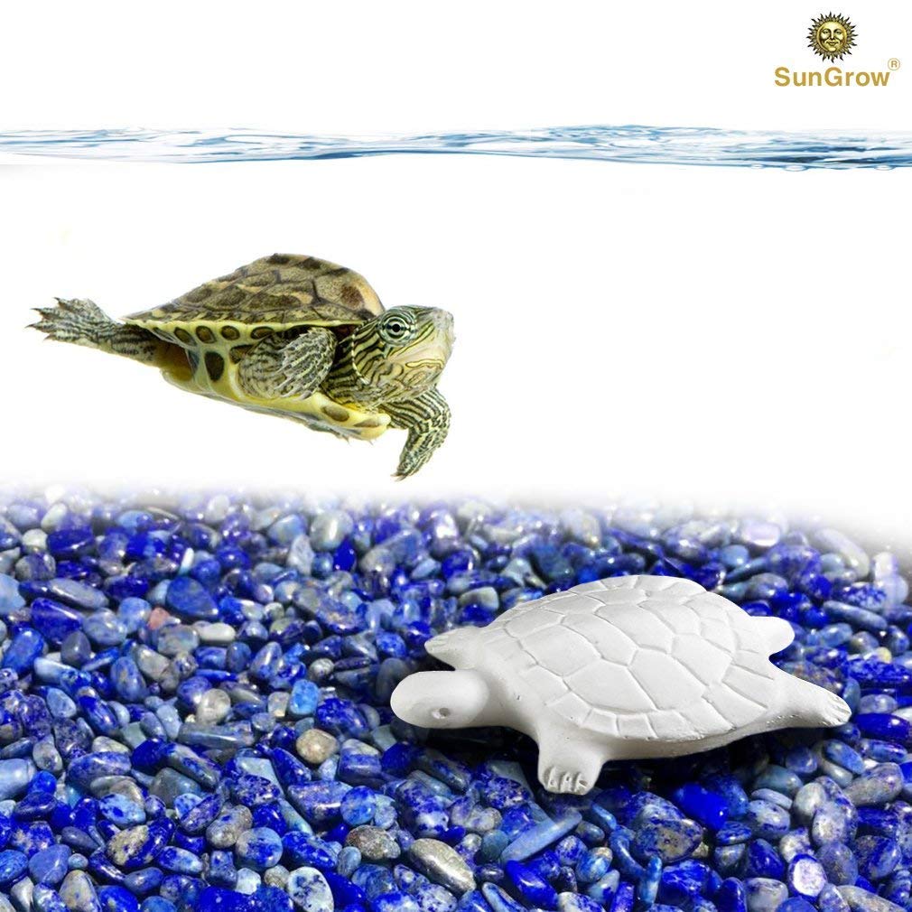Turtle Water Conditioner by SunGrow – Protects Turtles, Amphibians & Reptile Pets from Salmonella - Contains Calcium for turtle Shell Development - One Block Sufficient for 60 Days