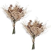 Oiijjur 2 Pack Boho Artificial Flowers Plants Bouquet Decoration 13.8inch, Fake Plastic Brown Eucalyptus and Beige Grasses, Faux Floral Arrangement for Wedding Centerpieces Party Home Fall Decor