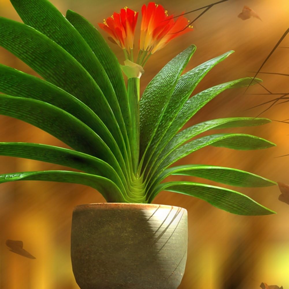 Afco 1Pc African Kaffir Lily Clivia Miniata Seeds Garden Yard Bonsai Plant