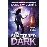 The Shadow Reader A Shadow Reader Novel Williams Sandy 9780996323161 Amazon Com Books