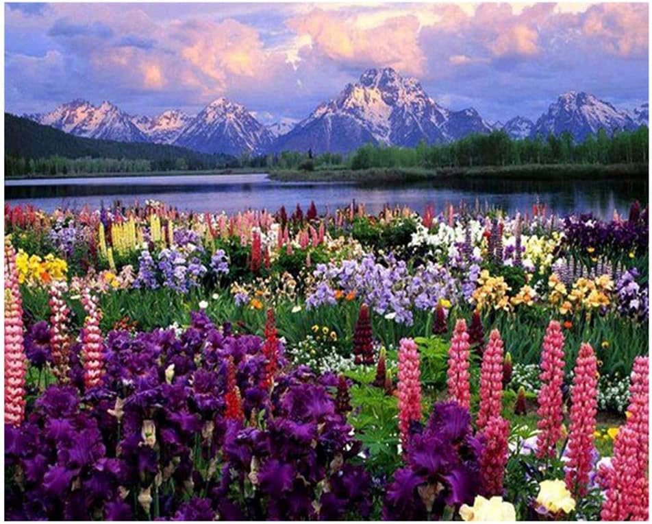 Caopixxzful DIY Paint by Number - Best Gift Choice for Adults & Kids Painting Skill Practice - Harbor Oil Painting (Sea of Flowers 950)