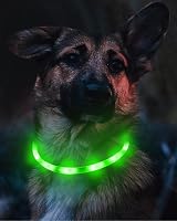 Joytale Light Up Dog Collar Green LED Rechargeable Type-C 70cm view 3