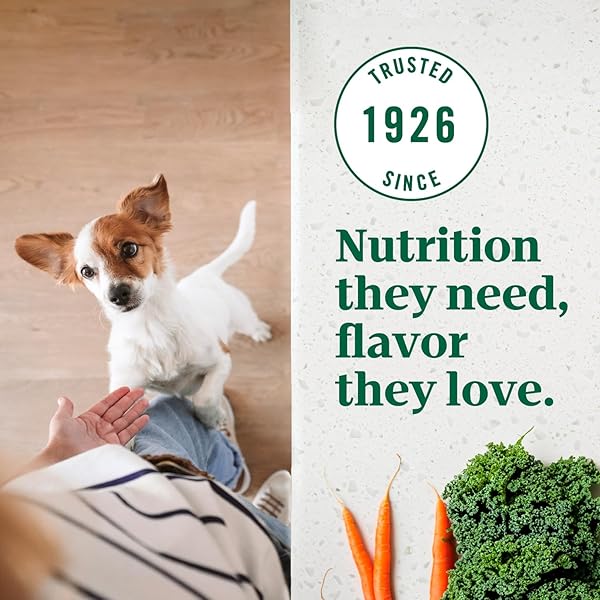 NUTRO ULTRA ADULT SMALL BREED DOG FOOD DRY RECIPE, DRY DOG FOOD FOR SMALL DOGS, CHICKEN, LAMB AND SALMON PROTEIN TRIO, 12 LB. BAG