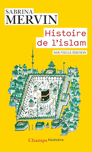 Download Histoire de l'islam: Fondements et doctrines (Champs Histoire) PDF