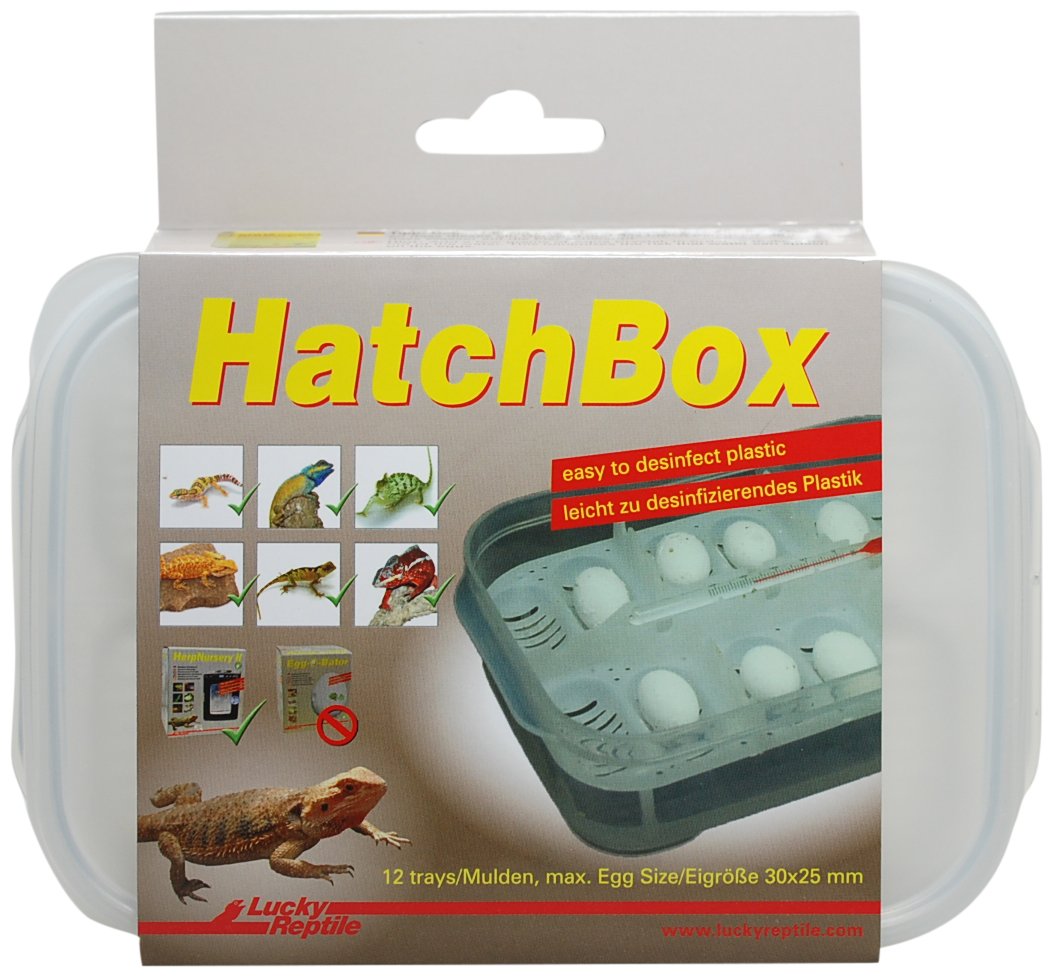 Lucky Reptile HB-01 HatchBox