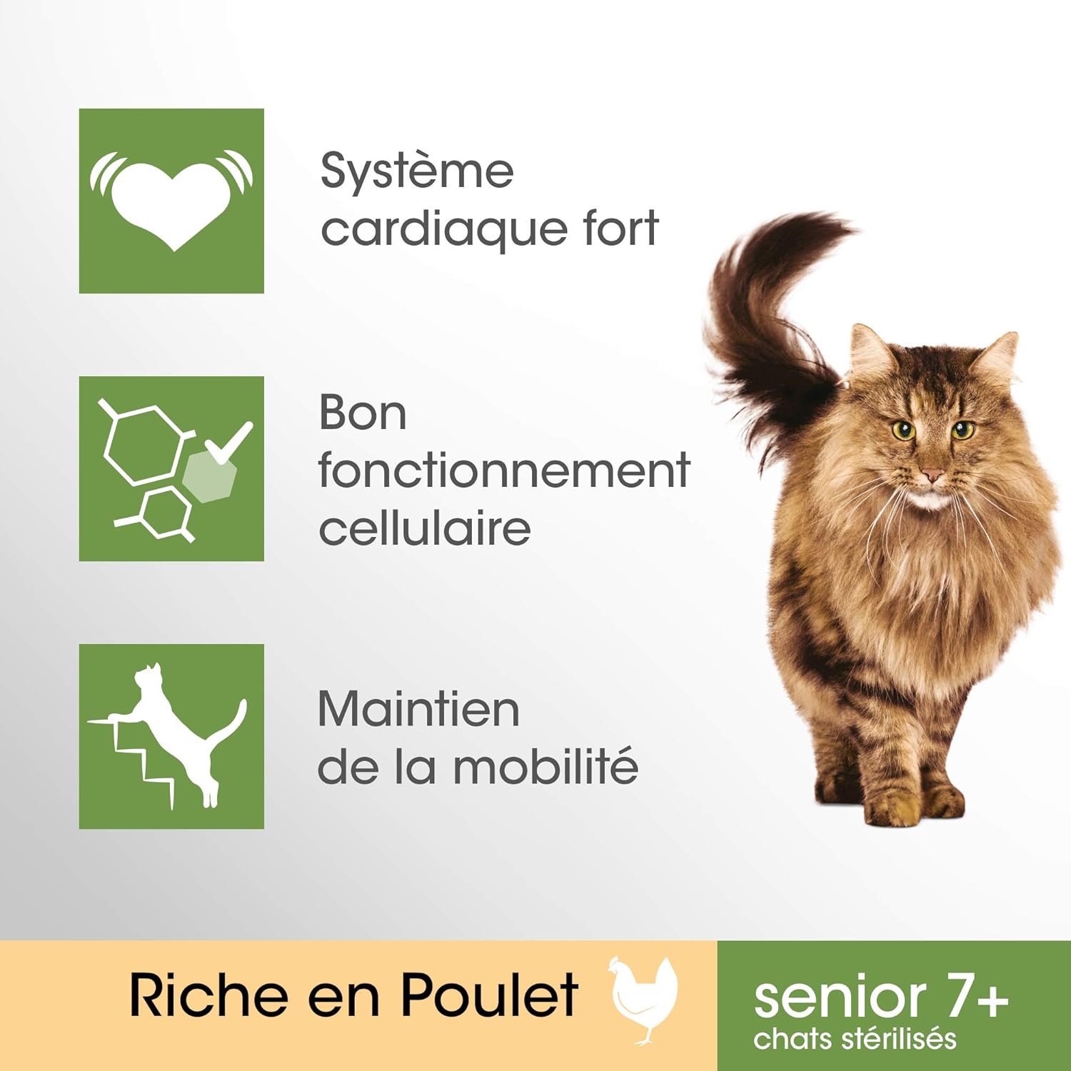 Perfect Fit Senior7 Croquettes Pour Chat Senior Sterilise Riche En Poulet 4 Sacs De 1 4kg Amazon Fr Animalerie