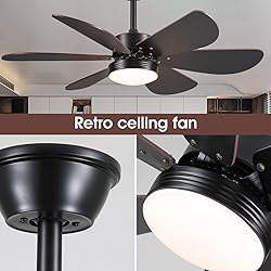 MADSHNE Ceiling Fans with Lights and