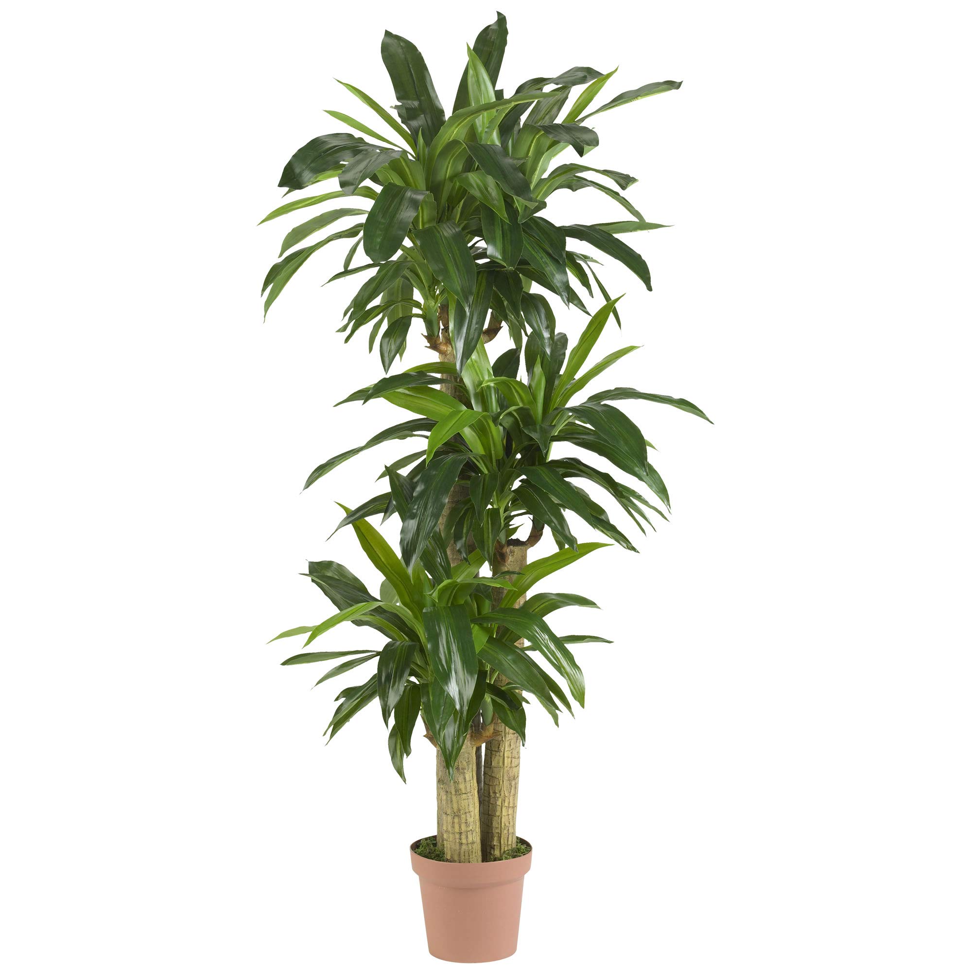 Photo 1 of Nearly Natural 62IN Artificial Corn Stalk Dracaena Plant, Tall Fake Plant for Indoor Home Décor, Real Touch Faux Plant