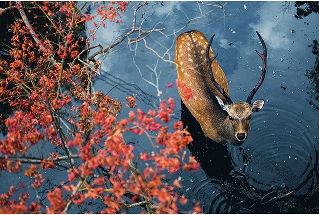 XYMLGS Difficult challenge Jigsaw Puzzle Deer 300/500/1000/1500/2000/3000/5000/5700 Pieces For Adult Kids Girl, Birthday, Decompression Toy, Impossible Mission present