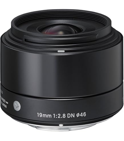 Amazon.com : Sigma 60mm F2.8 EX DN Art (Black) for Micro 4/3