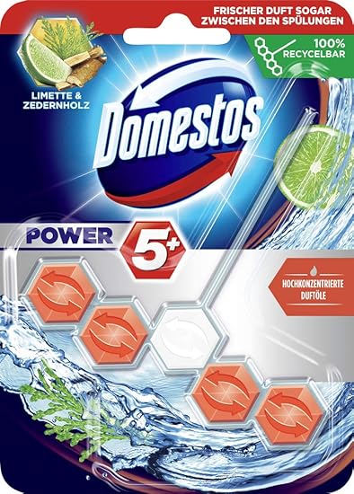 Domestos WC Stein Power 5 Limette & Zedernholz, 10er Pack(10 x 55 g)
