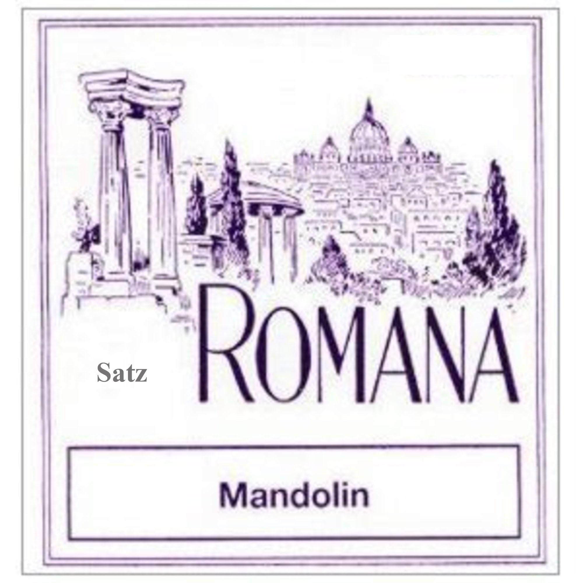 Romana Mandolin Strings Set