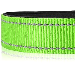 Joytale Reflective Dog Collar,Soft Neoprene Padded
