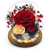 DAKEYUN Preserved Flowers Birthday Gifts for Women Preserved Rose in Glass Dome Forever Fresh Flowers for Delivery Prime Red Eternal Rose Gifts for Her Valentines Day Anniversary for Wife Girlfriend