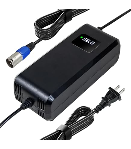 Amazon.com: YZPOWER 58.8V 4A Lithium Battery Charger for Electric
