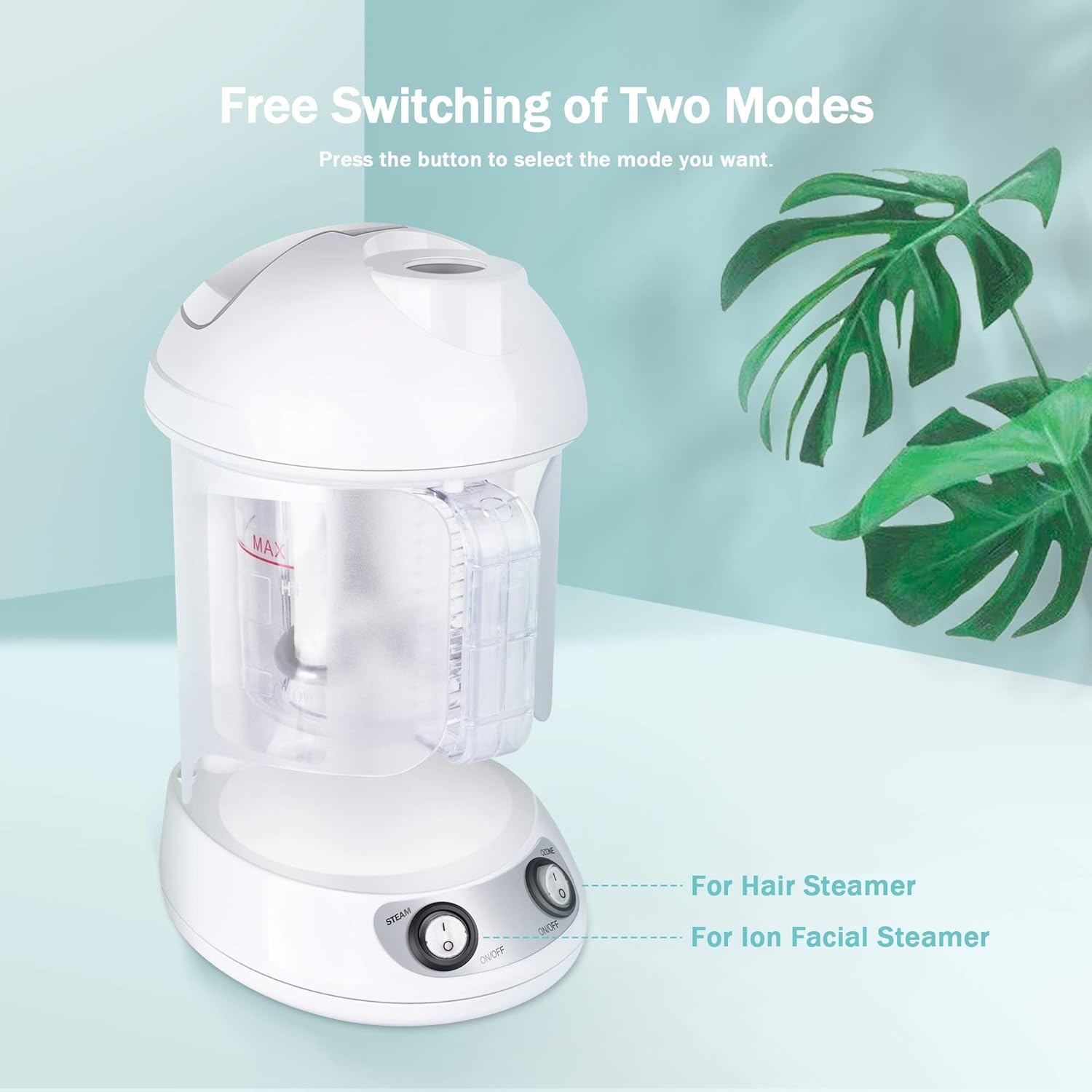 Hair Steamer EZBASICS 2 in 1 Ion Facial Steamer, Hair Humidifier Hot Mist Moisturizing Facial Atomizer Face Hydration System Sprayer, Design for Personal Care Use At Home or Salon: Beauty