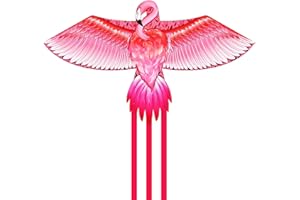 MINT'S COLORFUL LIFE Mint’s Colorful Life Large Kite for Kids and Adults, Easy to Fly Single Line Beach Kites, Comes with 300ft String Handle