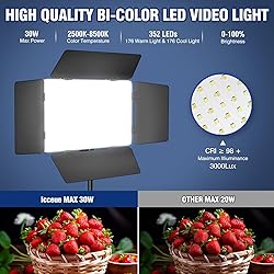 2 Pack LED Video Light Kit with Barn Door, Icceue