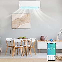 Winado 9,000 BTU Mini Split Air Conditioner