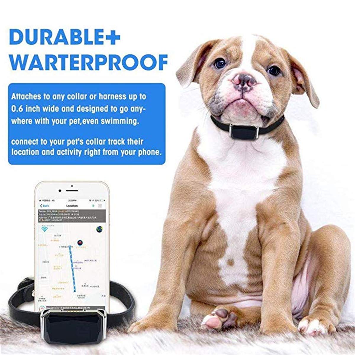  Chanmi Health Location Tracker Pet Smart