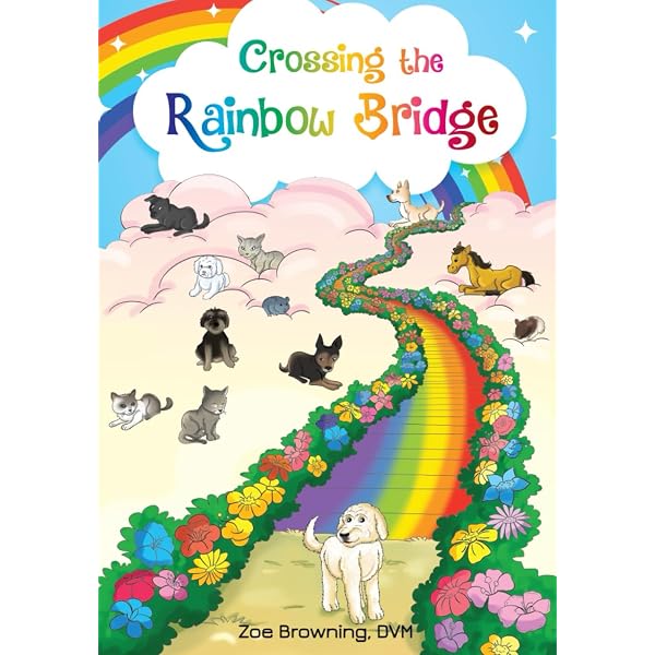 The Rainbow Bridge: Bodofsky, Steve: 9780960049301: Amazon.com: Books