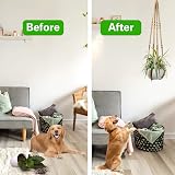 Augshy 2 Pcs Plant Hangers Macrame Hanging Planter with 4 Hooks 35 Inch view 6