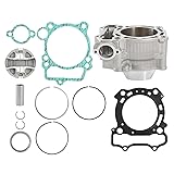 Cylinder Piston Rings Rebuild Kit Compatible with