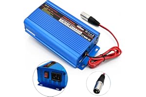 24V Battery Charger Automatic smart Charger 5A trickle Charger and I/O Switch 3 pin XLR Connector for Charging AGM Gel Lead-A