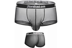 ZONBAILON Mens Sexy Underwear See Through Silk Boxer Pouch Briefs Breathable Mesh Trunks Pack