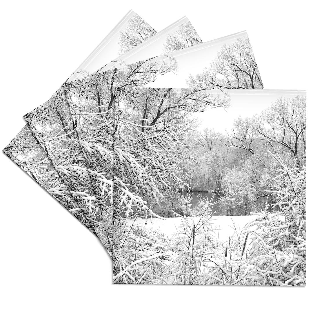 3dRose CST_19228_3 Coasters, Mutli-Colour