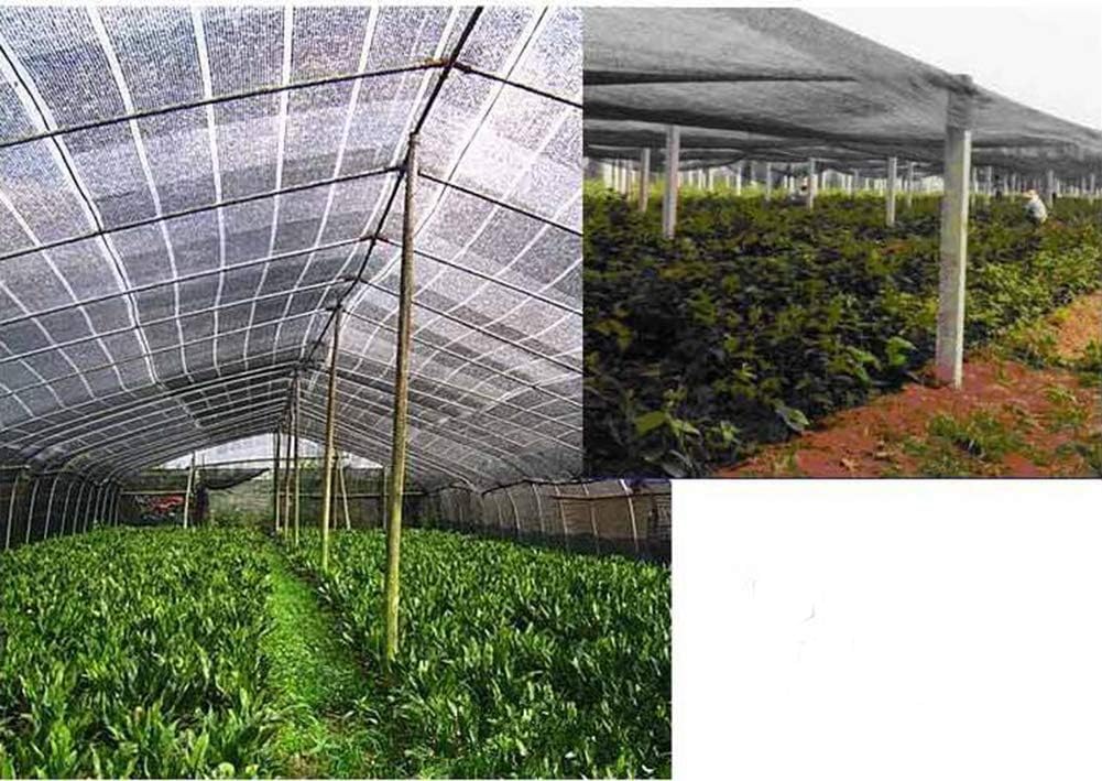 Solar Malla Sombrilla Tejado Exterior Toldos Terraza Malla Defensas UV