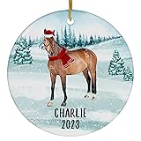 Santa Hat and Scarf Welcome Winter Chestnut Mustang