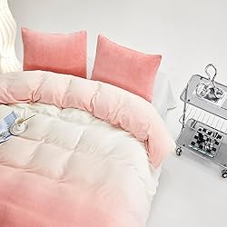 Luxlovery Pink Gradient Velvet Comforter Queen