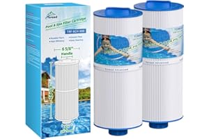 TOREAD 6CH-960 Spa Filter Replaces Jacuzzi Filters J-300, J400, PJW60TL-F2S, 14081, 6000-383A, Unicel 6CH-960, Filbur FC-2800, 6540-383, Hot Tub Filter with Closed Handle 2 Pack (Not be Removed)