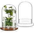 Perthlin 2 Pcs Glass Terrarium 5.9 x 7.9 Inch Terrarium Planter Container Clear Glass Dome Cloche with Airhole and Base for Plant Flower Home Tabletop Display Centerpiece, Plants Not Included